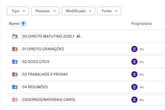 organize your google drive and files professionally