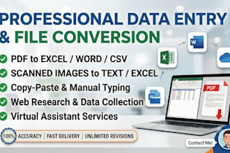 do professional data entry, copy paste and excel data typing work, pdf to excel
