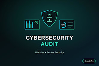 perform a cybersecurity audit of your website or server