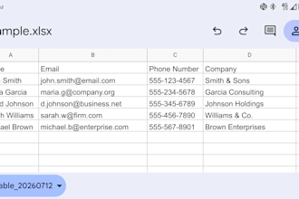 help with data entry and virtual assistant tasks