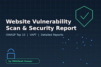 perform a basic website vulnerability scan and report