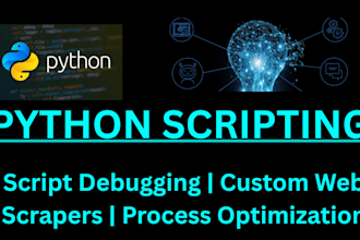 write or debug custom python scripts for automation