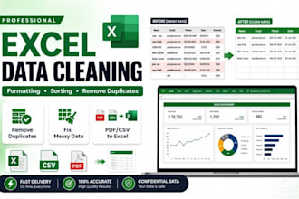 do excel data cleaning and formatting, sorting, deduping