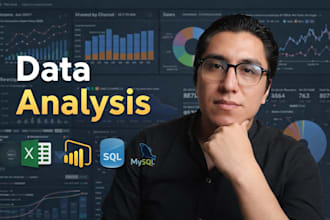 provide expert data analysis services