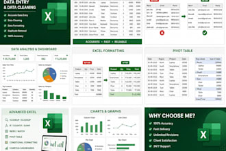 do professional excel data entry, formatting and pivot tables