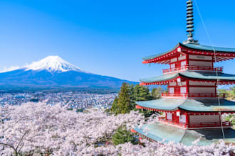 translate english to natural native japanese