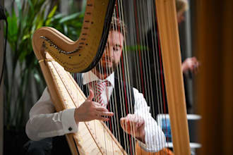 record professional live harp tracks for your music project or song