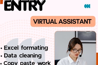 do data entry and excel data formatting