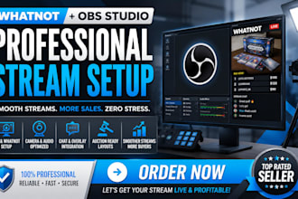 setup whatnot vertical obs stream for auctions