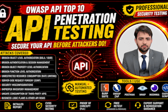 api penetration testing with an owasp API top 10 report