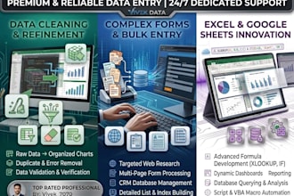 data entry specialist  excel expert