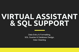 be your virtual assistant for data entry and sql database tasks
