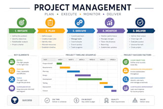 provide a pmo reporting pack