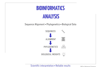 perform bioinformatics analysis and biological data interpretation