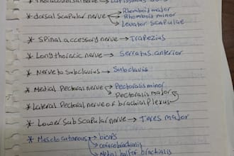 help you understand how anatomy works