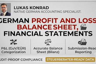 prepare german profit and loss balance sheet and financial statement