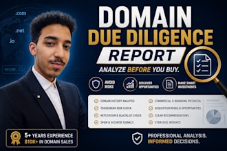 perform a full domain due diligence report before purchase