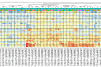 analyze rnaseq data from raw reads to functional enrichment