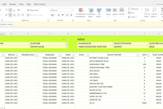 be your expert excel data entry specialist