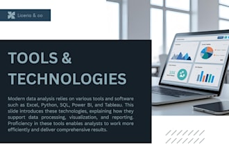 do professional excel data entry and copy paste work