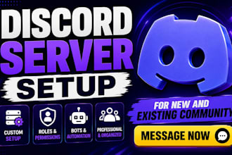create a professional custom discord server setup with bots and automation
