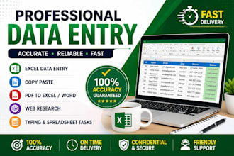 do excel data entry,copy paste,formatting and googlesheets