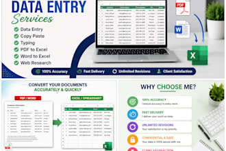 data entry PDF to excel word to excel