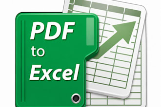 data entry PDF to excel and word to excel