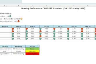 create a professional excel dashboard and KPI report