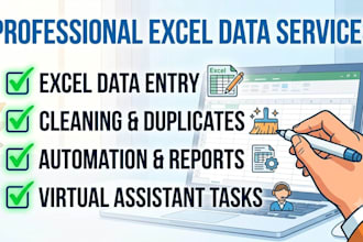 do excel data entry, reports and data management
