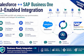 integrate salesforce with sap business one bidirectionally