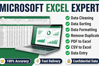 do excel data cleaning, formatting, sorting and data entry