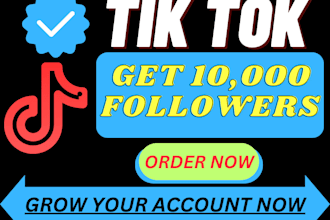 grow your tik tok account to get 1000 followers organically