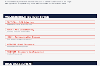 penetration testing  website vulnerability assessment
