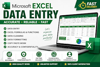 do excel data entry, formulas, data cleaning, formatting