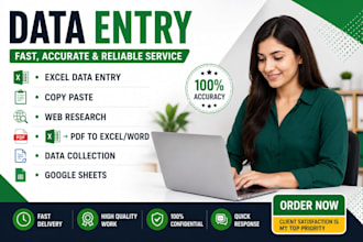 do accurate data entry, copy paste, excel and wed research
