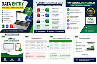 do professional copy paste, typing ,data entry and excel