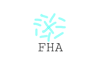 do professional  logo design for your business