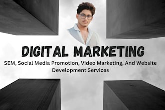provide SEM, social media promotion, video marketing