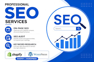 do professional on page SEO for wordpress