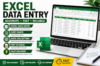 do microsoft excel data entry, copy paste, typing and spreadsheet tasks