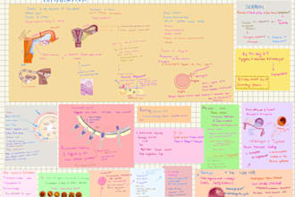 design high yield aesthetic medical study guides
