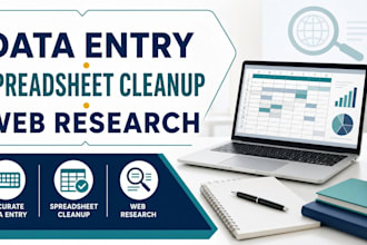 accurate data entry, spreadsheet cleanup, and web research