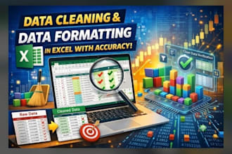 professional data entry , format, merge , spilt excel data