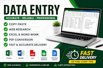 do accurate data entry, web research, copy paste and file conversion