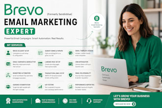 be your brevo email marketing expert for campaigns and automation