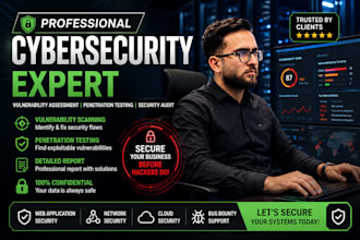 perform web application penetration testing and security assessment