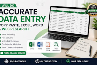 do accurate dataentry exceldata entry copypaste and webres
