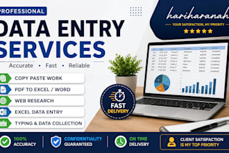 do data entry and excel data cleaning