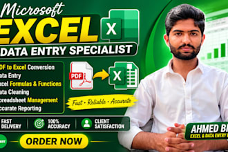 do microsoft excel data entry PDF to excel formulas and data cleaning